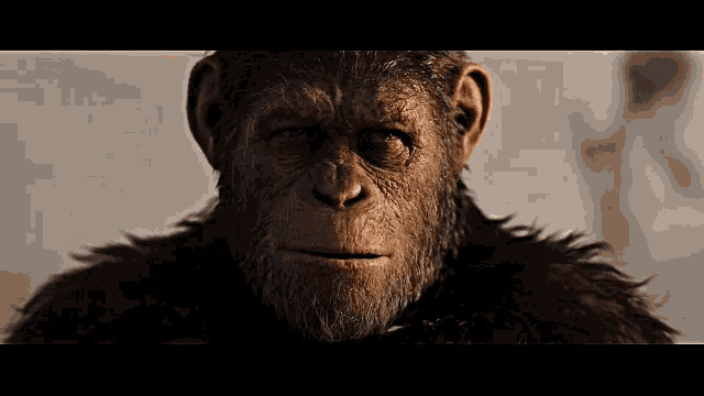 war-for-the-planet-of-the-apes-caesar.gif