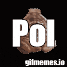 Pol Crunpla GIF - Pol Crunpla Frog GIFs