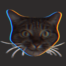 a close up of a cat 's face with a rainbow colored background