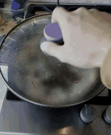 Cooked GIF - Cooked GIFs