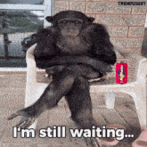 Waiting Monkey GIF - Waiting Monkey Where Are You GIFs