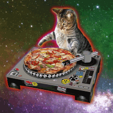Cat Pizza GIF - Cat Pizza Dj GIFs
