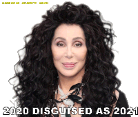 2020disguised As2021 2020with A2021wig Sticker - 2020disguised As2021 2020with A2021wig Cher Is2020 Stickers