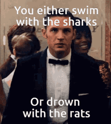 Sharks Rats GIF - Sharks Rats Swim GIFs