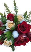 a bouquet of red and white roses with a c on the bottom