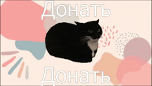 a black and white cat is on a colorful background with the words " dohat " in white