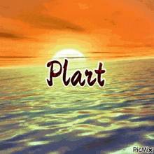 a picture of a sunset with the word plant written on the water
