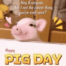 Pig Day Piggy GIF - Pig Day Pig Piggy GIFs