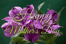 Happy Mothers Day Flowers GIF - Happy Mothers Day Mothers Day Flowers GIFs