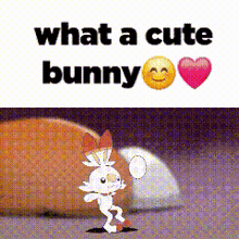 a picture of a bunny with the words what a cute bunny on it