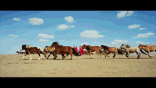 Horse Pack Of Horse GIF - Horse Pack Of Horse Sky GIFs