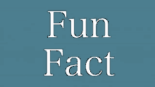 Fun Fact No GIF - Fun Fact No GIFs