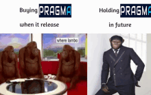 Pragma Pragma Meme GIF - Pragma Pragma Meme Pragma Monkey GIFs
