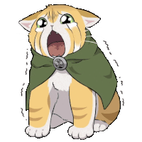 a cat wearing a green cape with chinese characters on it