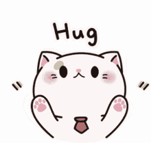 huggie hug cute cat hands up