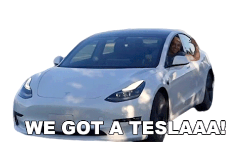 We Got A Teslaaa Wil Dasovich Sticker - We Got A Teslaaa Wil Dasovich Brand New Tesla Stickers
