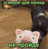 a stuffed pig with a caption in a foreign language .