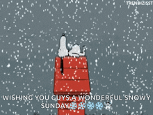 Snoopy Snow Day GIF