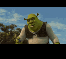 Meme Shrek GIF