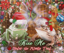 kiss kiss me kiss me under the mistletoe kiss me under the missile toad missile toad