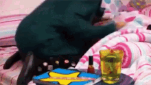 a cat is laying on a bed next to a star shaped tray