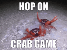 Crab Champion Crabs GIF - Crab Champion Crabs Crab Game GIFs