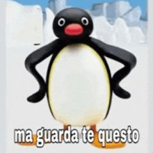 a penguin is standing with its arms crossed and the words `` ma guarda te questo '' written on it .