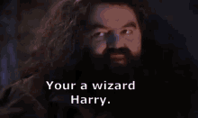 harry potter thomas healy wizard