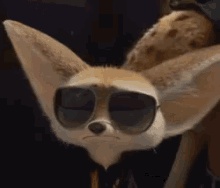 finnick cute zootopia disney sunglasses