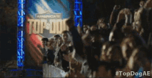 Cheering Americas Top Dog GIF - Cheering Americas Top Dog Fans GIFs