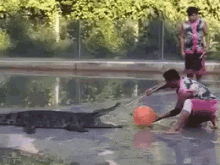 alligator crocodile fail scared