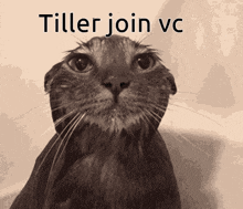 Join Vc GIF - Join Vc GIFs