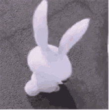 Bunny Smile GIF - Bunny Smile Evil GIFs