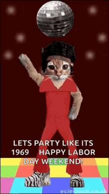 disco kitty party lets party like its1969 labor day weekend