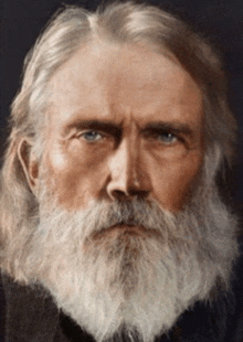 a man with long hair and a white beard looks at the camera