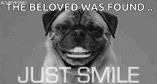 Dog Smile GIF - Dog Smile Just Smile GIFs