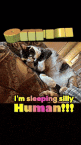 a black and white cat laying on a couch with the words i 'm sleeping silly human