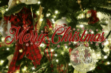 Animated Merry Christmas Images GIFs | Tenor