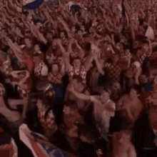 Croatia Crowd GIF