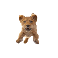 Taking A Leap Mufasa Sticker - Taking A Leap Mufasa Mufasa The Lion King Stickers