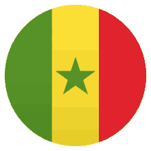 flag senegalese