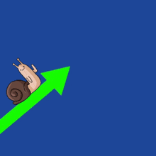 Snail Snailcoinada GIF