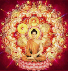 Amitabha Love GIF - Amitabha Love Heart GIFs