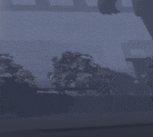a blurry picture of trees and buildings in the fog .