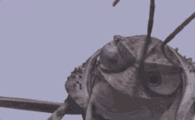 Hopper Grasshopper GIF - Hopper Grasshopper A Bugs Life GIFs