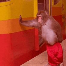 sad monkey Memes & GIFs - Imgflip