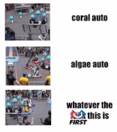 coral auto algae auto and whatever the first are shown