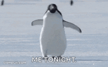 Slipping Penguin GIF - Slipping Penguin Funny Animals GIFs