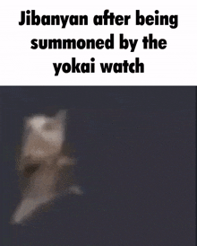 Yokai Yokai Watch GIF - Yokai Yokai Watch Jibanyan GIFs