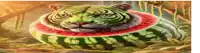 a painting of a tiger laying on top of a watermelon